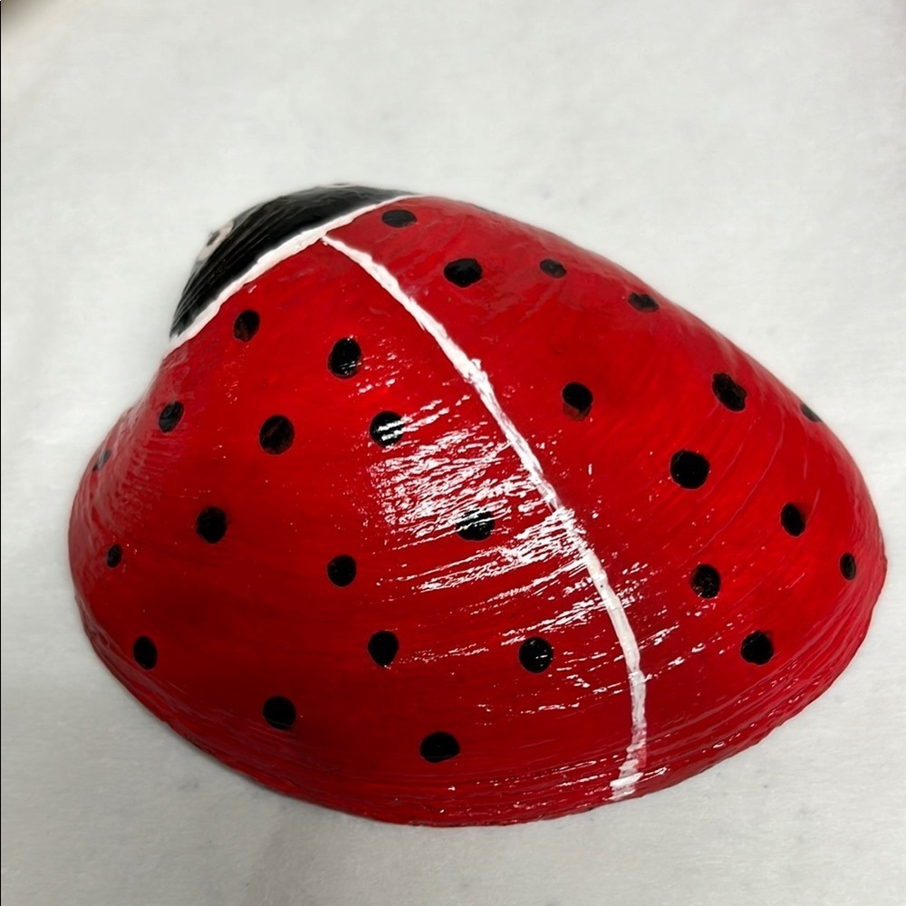 Hand Painted  Ladybug Shell - Picture 5 of 9